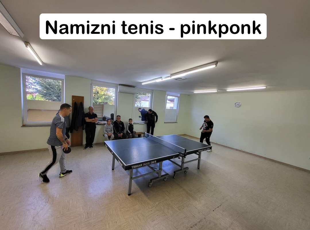 Namizni tenis